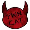 Pwncat