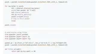 Pypacker screenshot