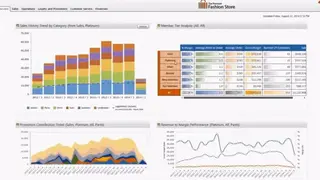 Pyramid Analytics screenshot