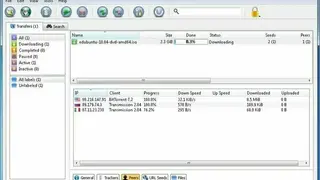 qBittorrent screenshot
