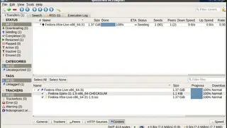 qBittorrent screenshot