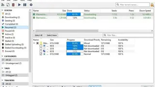 qBittorrent screenshot