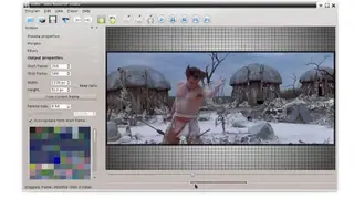 QGifer screenshot