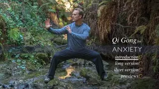 Qi Gong for Anxiety screenshot
