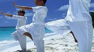 Qigong screenshot