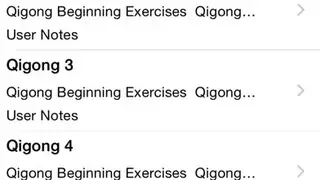 Qigong screenshot
