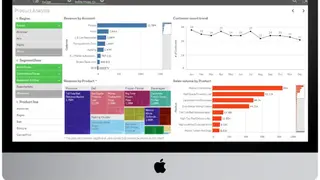 Qlik Analytics Platform screenshot