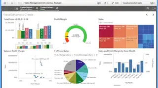Qlik Sense screenshot