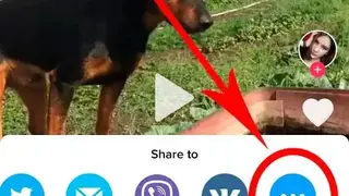 Qload – Tiktok video downloader without watermark screenshot