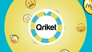 Qriket screenshot