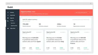 Qubit screenshot