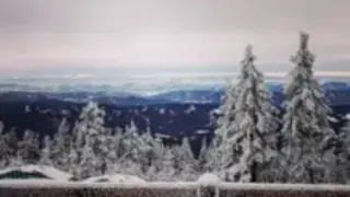 QuickRepost for Instagram screenshot