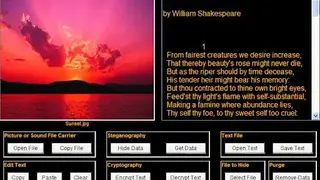 QuickStego screenshot