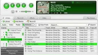Quintessential Media Player screenshot