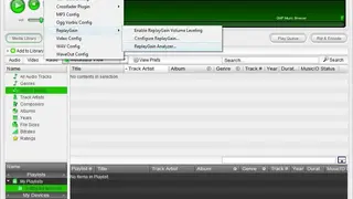 Quintessential Media Player screenshot