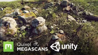 Quixel Megascans screenshot