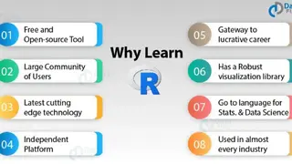 R (programming language) screenshot