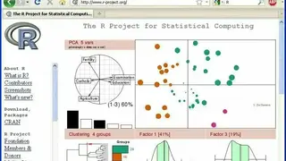 R Project screenshot