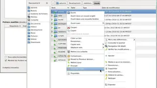 RabbitVCS screenshot