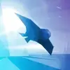 Race the Sun