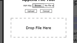 RAD PDF screenshot