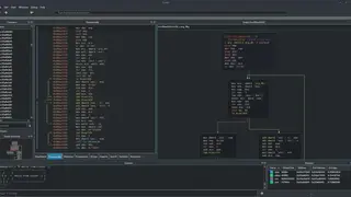Radare2 screenshot