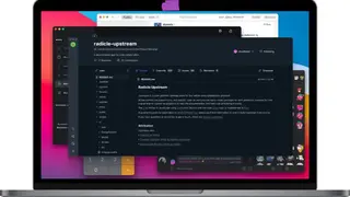Radicle screenshot