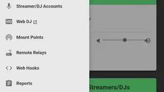 Radiolize screenshot