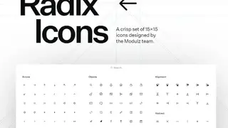 Radix Icons screenshot