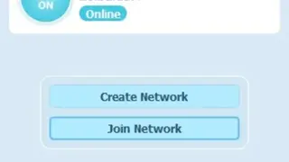 Radmin VPN screenshot