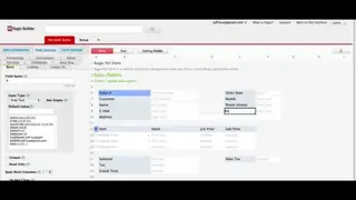 Ragic screenshot
