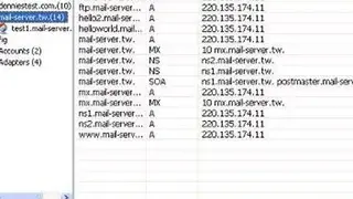 RaidenDNSD screenshot