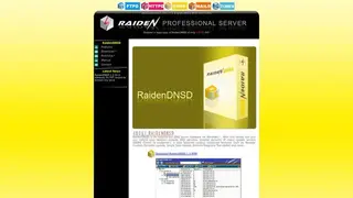 RaidenDNSD screenshot