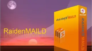 RaidenDNSD screenshot