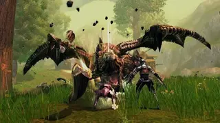 RaiderZ screenshot