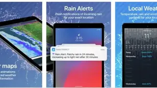 Rain Parrot screenshot