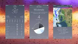 Rain Parrot screenshot