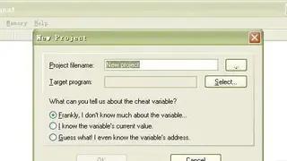 RAM Cheat screenshot