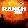 Ranch Simulator
