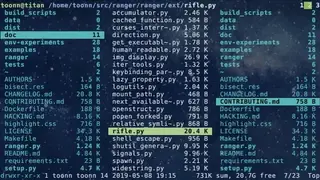 Ranger NCurses file manager with Vim bindings screenshot