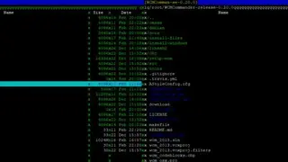 Ranger NCurses file manager with Vim bindings screenshot