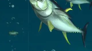 Rapala Fishing: Daily Catch screenshot