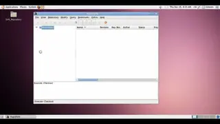 RapidSVN screenshot