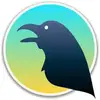 Raven Reader