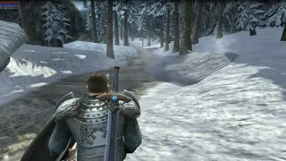 Ravensword: Shadowlands screenshot