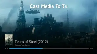 RaysCast For Chromecast screenshot