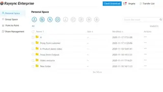 Raysync screenshot