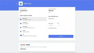 Razorpay screenshot