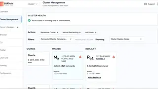 RDBTools GUI for Redis screenshot