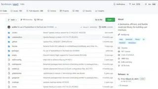 ReactJS screenshot